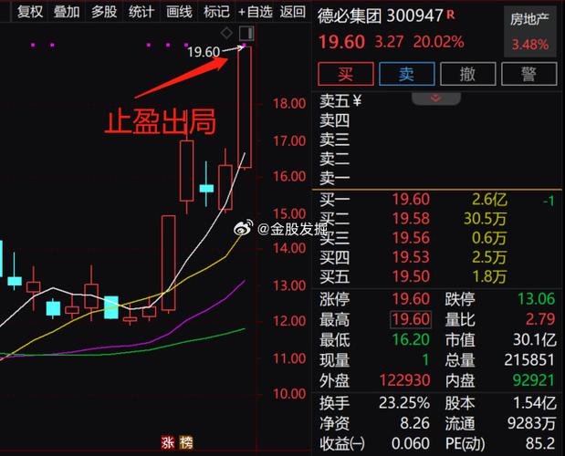 股票公司資料